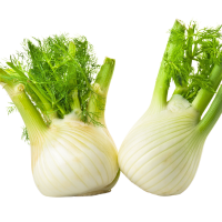 Fennel